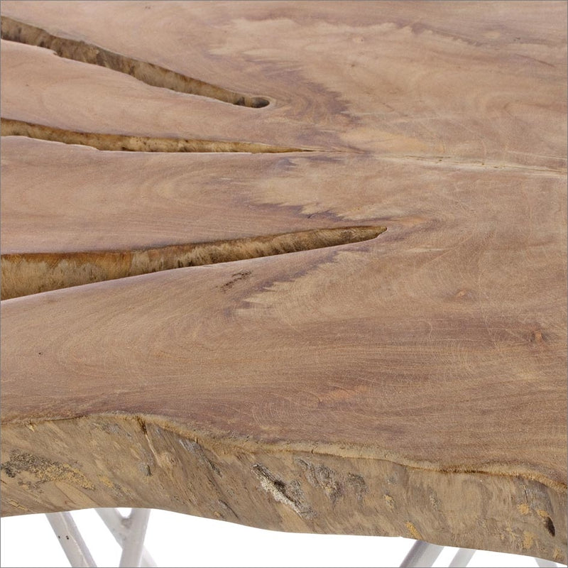 Tavolino basso base in metallo piano in radice di albero di teak cm 50x50x50h - vari colori